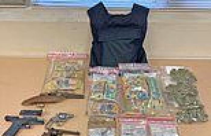Guns, drugs and $143,000 in cash are seized in massive crackdown on organised ...