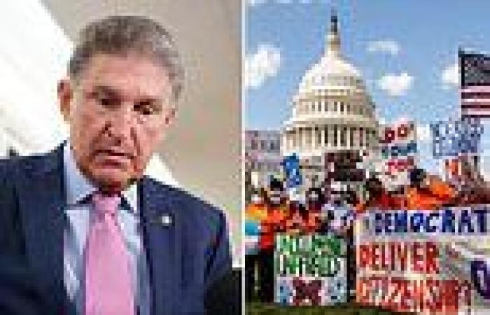 Joe Manchin says immigration reform is 'too big' to fit into Biden's massive ...