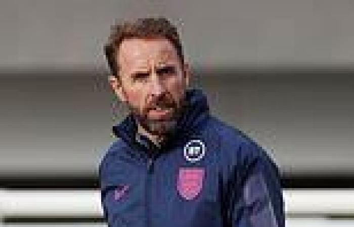 sport news Premier League clubs worried about England stars picking up injuries on plastic ...