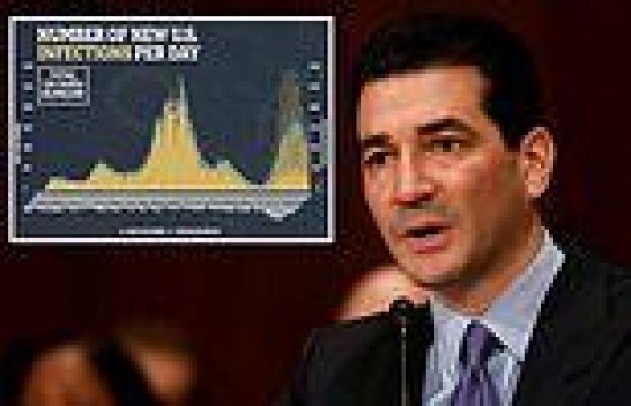Covid US: Ex-FDA chief says Delta will be the last surge as cases fall by 33% ...