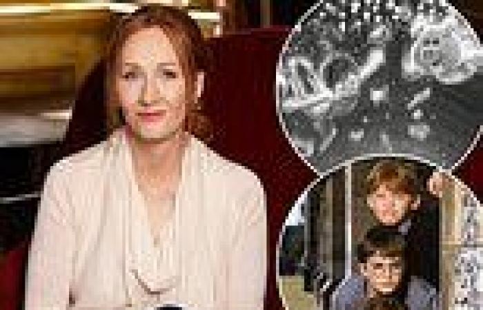 JK Rowling writes a voyage to our lost childhoods with her new book The ...