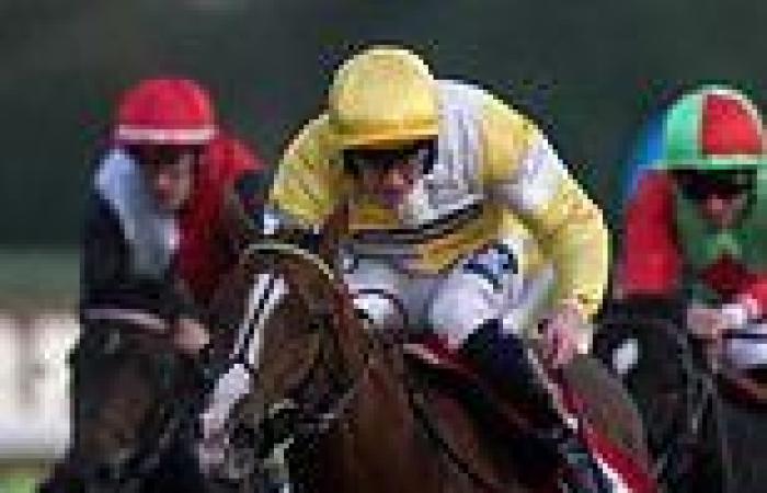 sport news Robin Goodfellow's racing tips: Best bets for Tuesday, October 12