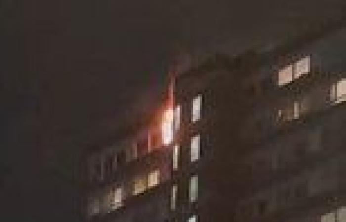 Emergency services race to tower block in southwest London as fire erupts in ...