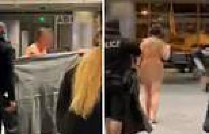 Naked woman wanders Denver Airport: Cops try to cover her with blanket