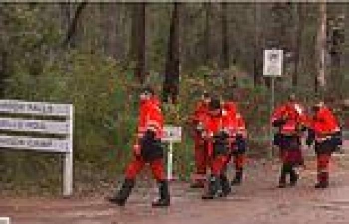 Search continues for missing boy after he fell out a kayak at popular camping ...