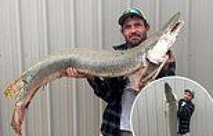 Living fossil': Fisherman captures nearly 40-pound alligator gar in Kansas