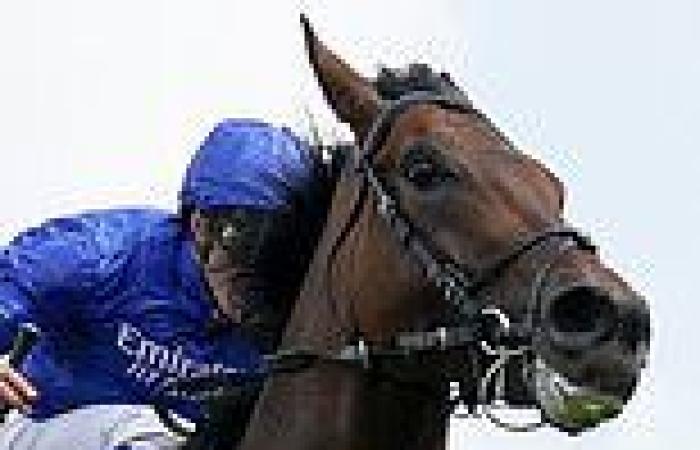 sport news Champion Stakes features fascinating battle between speed and stamina as ...