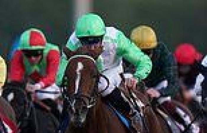 sport news Robin Goodfellow's racing tips: Best bets for Saturday, October 16