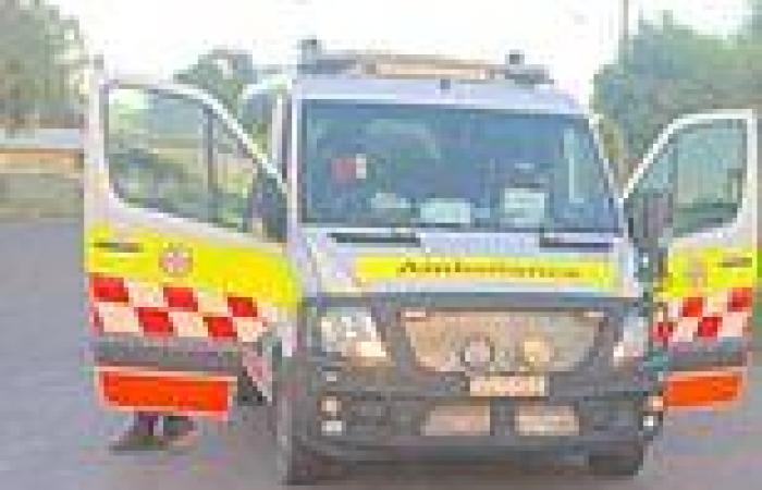 Teenagers allegedly stole an ambulance before going on a high-speed chase in ...