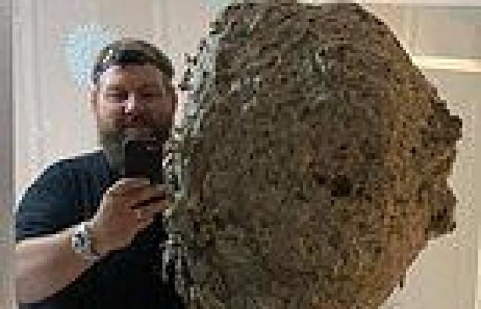 Pest controller shares selfie with ENORMOUS 3ft tall wasps' nest