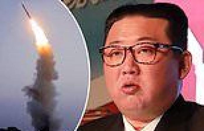 North Korea fires 'missile' into sea as it ramps up weapons tests