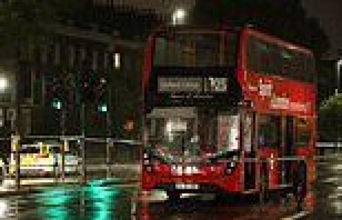 Horror on night bus in London as passenger is stabbed - as police close nearby ...