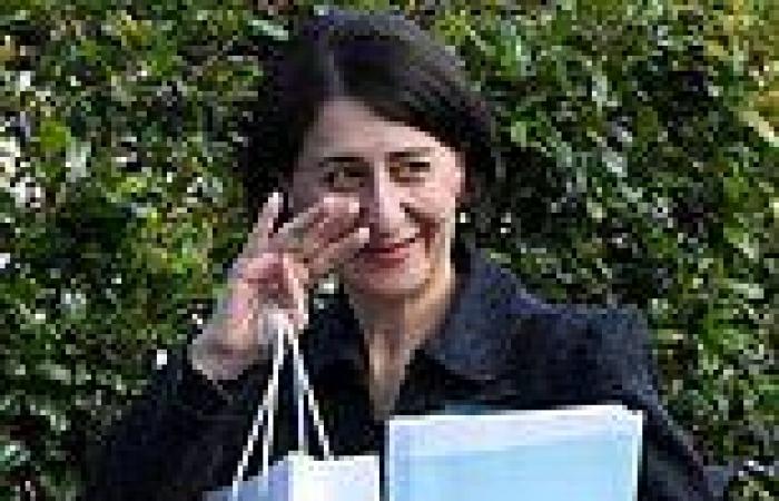 Gladys Berejiklian, ICAC: Explosive evidence about Daryl Maguire's pet project