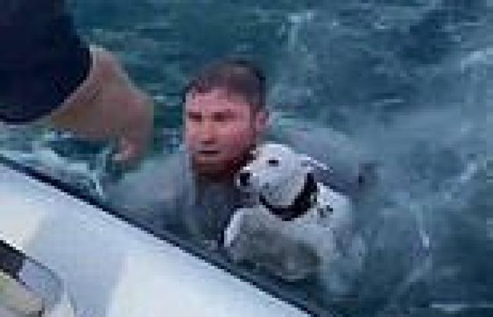 Dog rescued from Atlantic Ocean after 'jumping off a boat' [Video]
