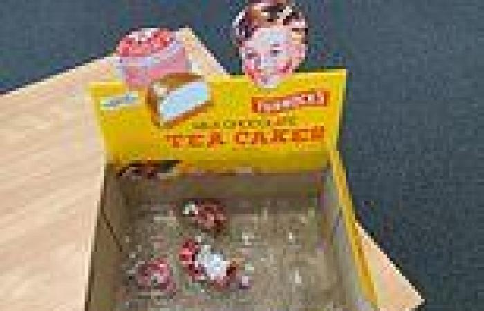 Now teacakes are cancelled: Tunnock's stumbles into a culture war over LGB ...