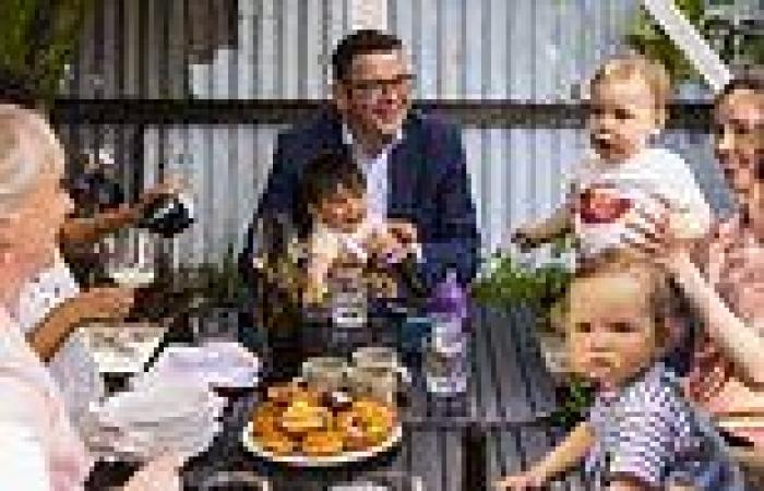 Dan Andrews celebrates Freedom Day with his wife after Victoria exits ...