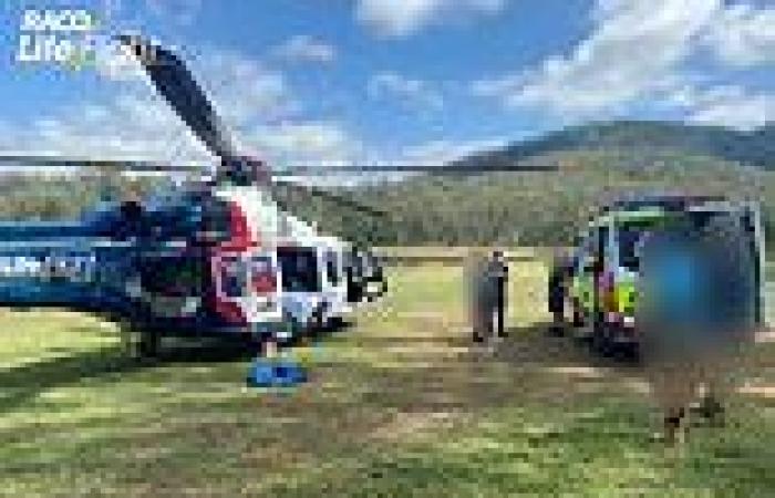 Boy is flown to hospital with head injuries after falling from a rope swing ...