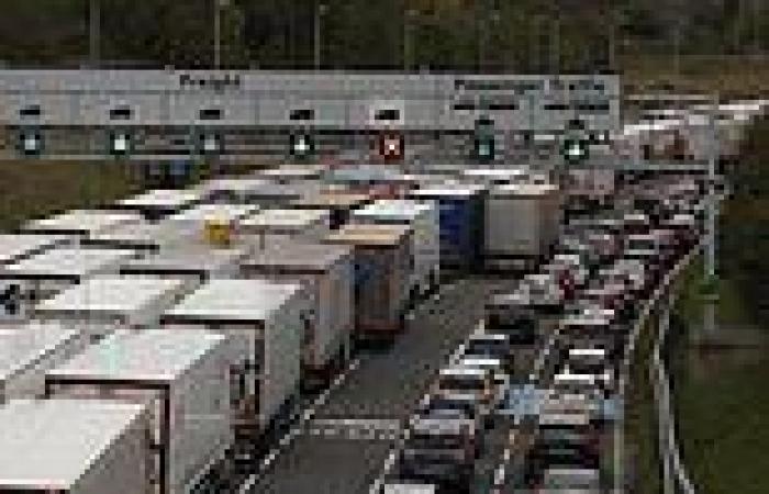 Holidaymakers queue for Channel Tunnel for more than SEVEN HOURS due to power ...