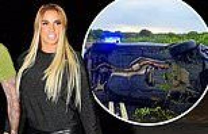 Katie Price apologises for drink-and-drug-drive car crash