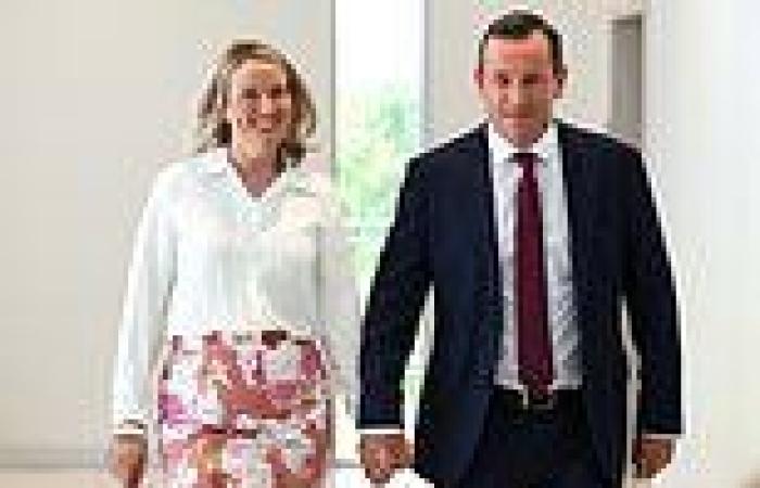 Shock new details emerge about WA Premier Mark McGowan security scare over ...