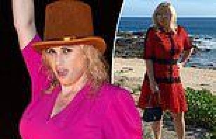 Rebel Wilson shows off her slimmed-down figure and trim waist in a fuchsia ...