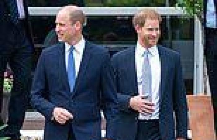 William 'mentions Harry by name' in 'sweet and intimate' speech thanking ...