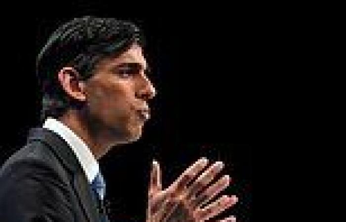 Rishi Sunak's pay rise for seven million people...but how WILL we afford it?