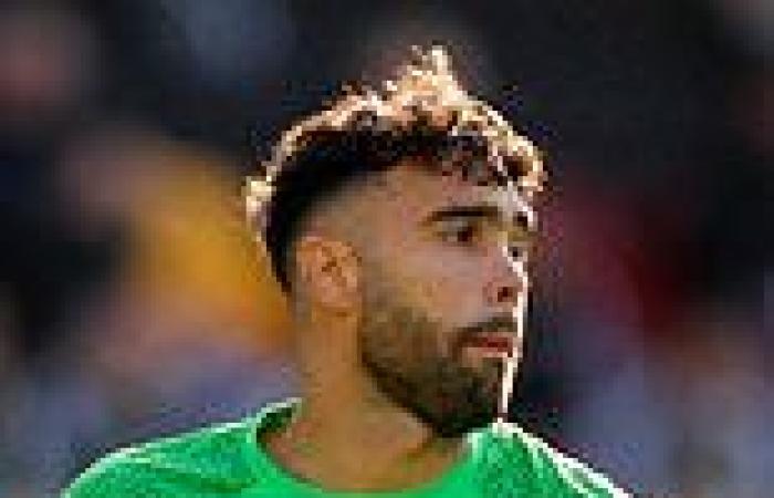 sport news Brentford suffer Raya blow after goalkeeper ruled out for up to five months ...