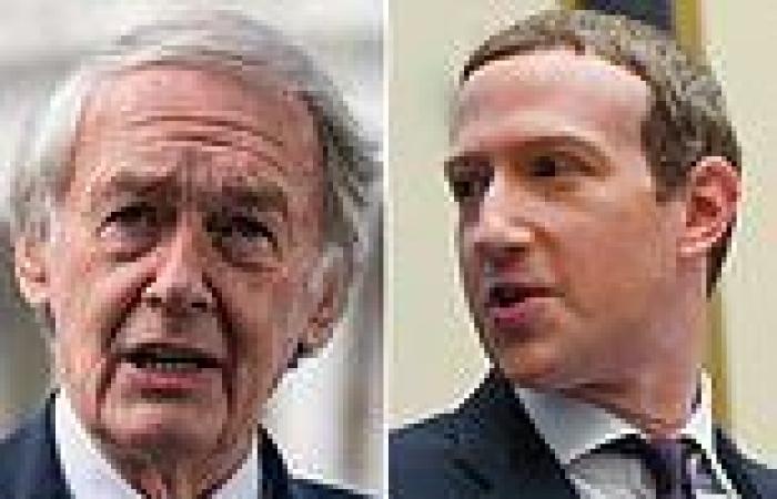 Lawmakers investigating Facebook Inc. and other online giants turn attention to ...
