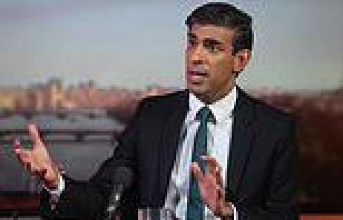 Business chiefs warn prices WILL rise as Rishi Sunak hikes wages