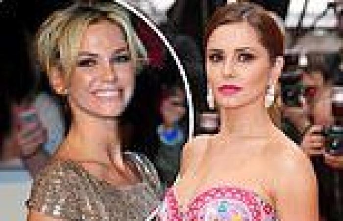 Cheryl takes a break from performing after Sarah Harding's death