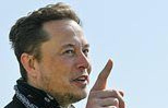 Elon Musk warns Austin, Texas not to become a 'San Francisco copycat'