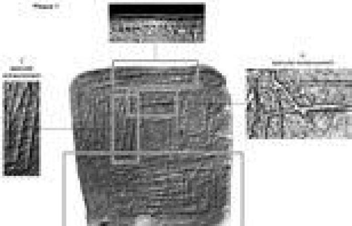 Archaeology: Designs on Stonehenge's chalk plaques depict real objects and NOT ...