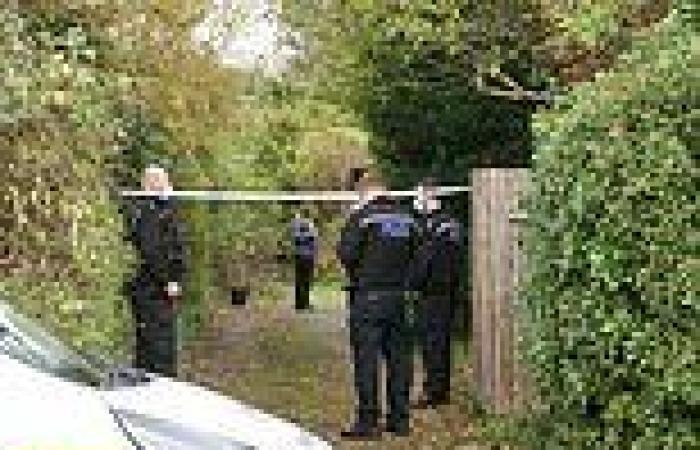Police investigate death of retired pharmacist, 79, who was found dead after ...