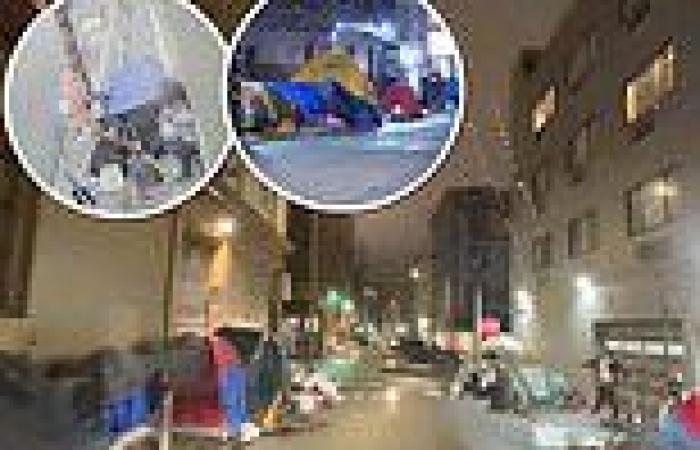 Outraged residents of San Francisco luxury condos hit out as huge tent city ...