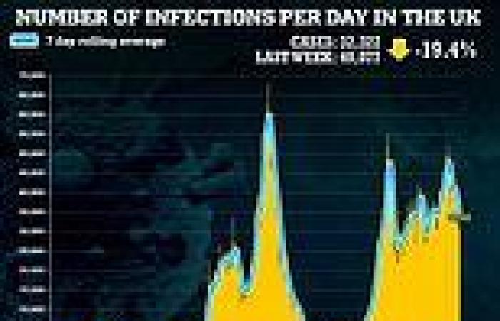 Daily Covid cases continue to plummet: Infections fall by another FIFTH to ...