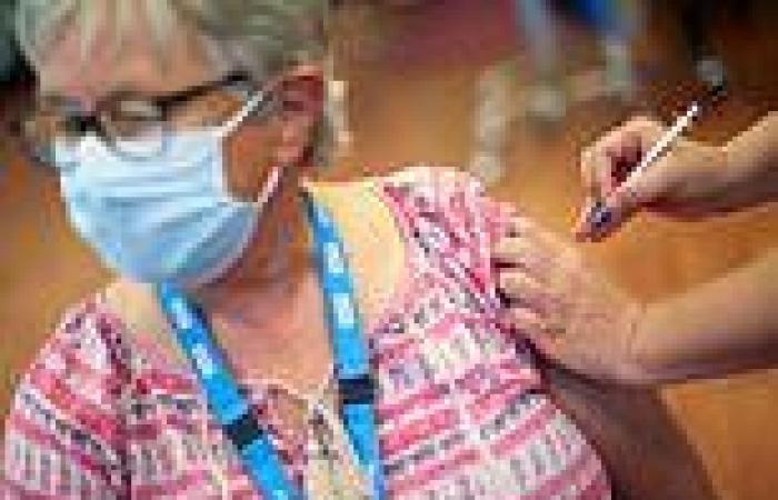 Wonderjabs! How vaccines for shingles and flu could beat stroke and even ...