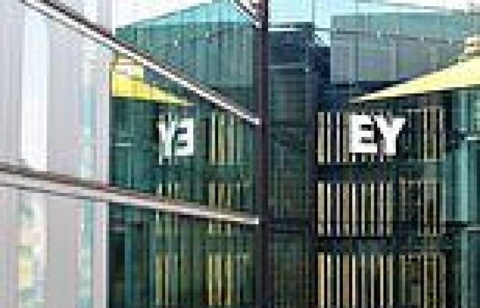 Partner at Ernst and Young allowed to keep job after telling female trainee 'I ...