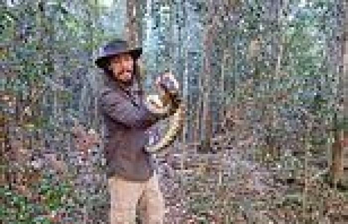 Gruesome moment angry 2.7m snake slices reptile catcher's wrist open and severs ...