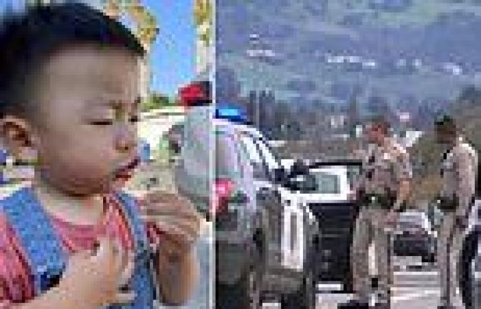 California toddler dies after being hit in the head by stray bullet