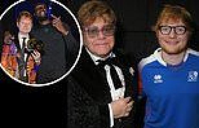 Ed Sheeran reveals Elton John and Stormzy and Dave are the only musicians 'that ...