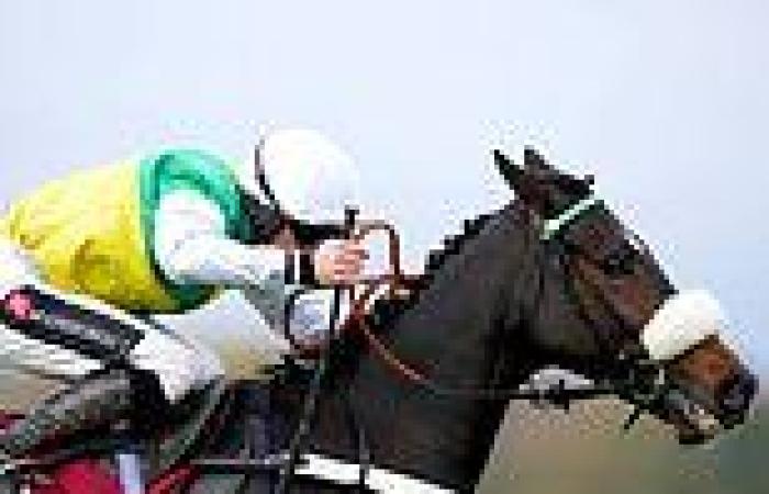 sport news Robin Goodfellow's racing tips: Best bets for Friday, November 12