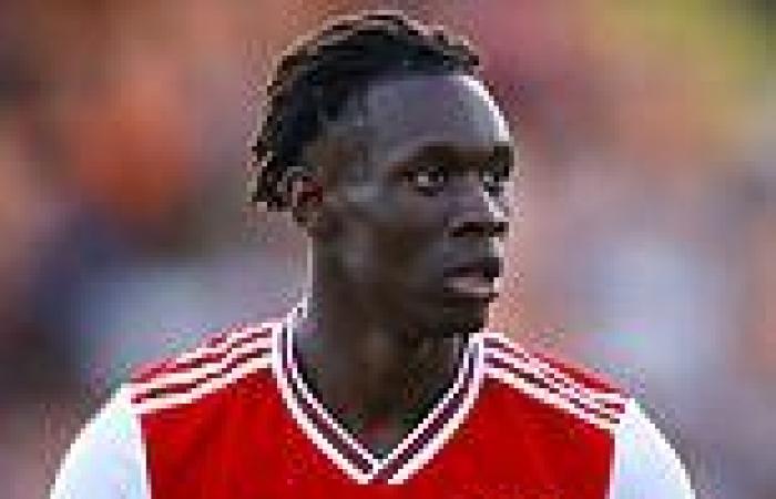sport news Arsenal starlet Folarin Balogun MUST go out on loan to 'test himself', insists ...