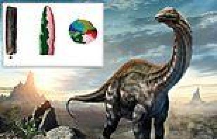 Sauropod dinosaurs like Apatosaurus replaced their 'simple teeth' faster than ...