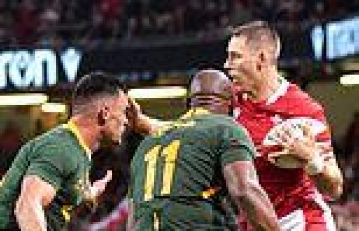 sport news Wales star Liam Williams jokes that pitch invader cost him a try bonus against ...