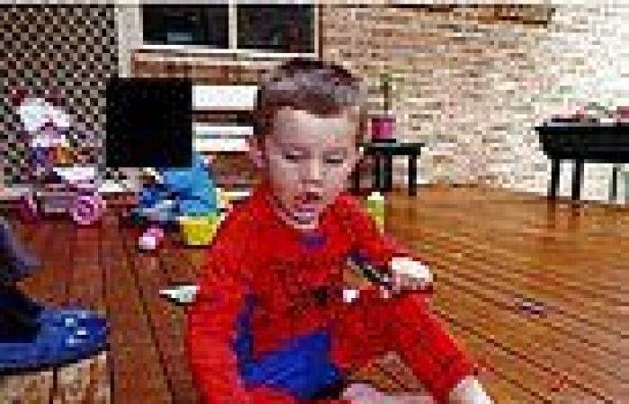 William Tyrrell investigation will take MONTHS as police dig up 1km of ground ...