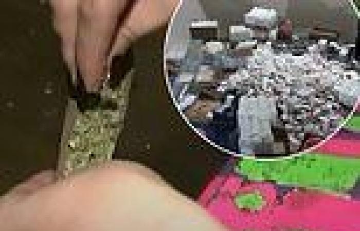 Connecticut officials warn of fentanyl-laced marijuana after 39 overdoses since ...