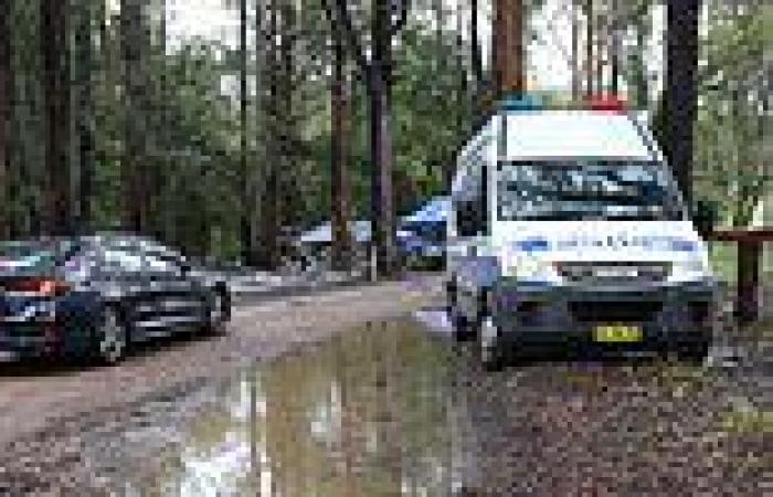 Setback for Tyrrell investigators as heavy rain inundates key search site