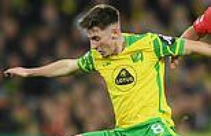 sport news Billy Gilmour's display in the win against Southampton will give Dean Smith ...