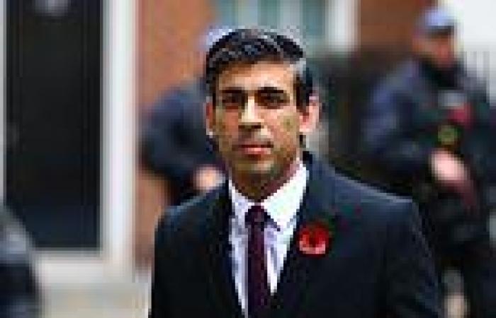 Rishi Sunak's freeports plan 'nobbled by the Blob': Whitehall accused of ...